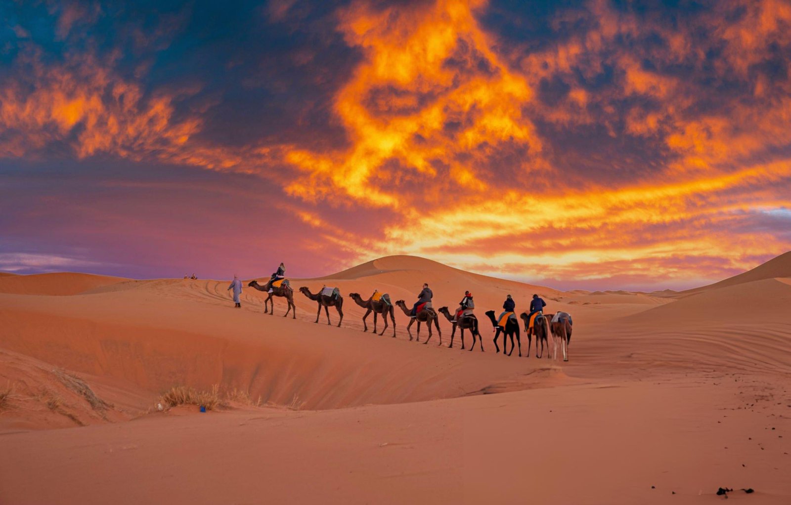 Merzouga desert camel trekking sunset Morocco
