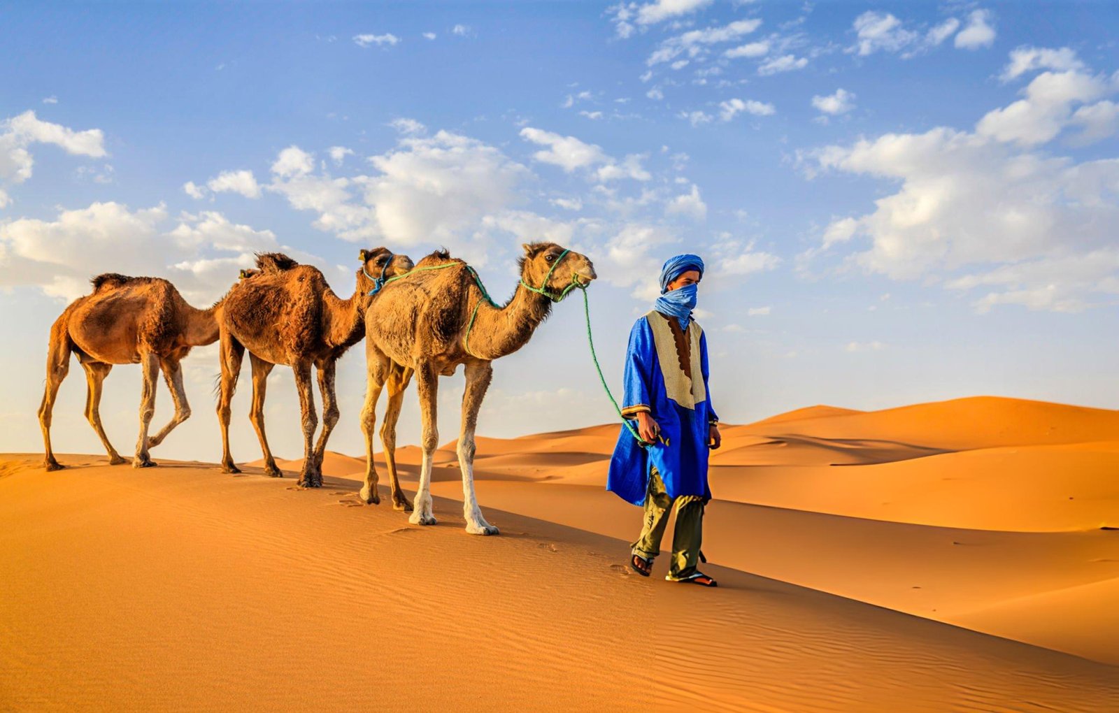 Camel trek in Merzouga Sahara desert Morocco