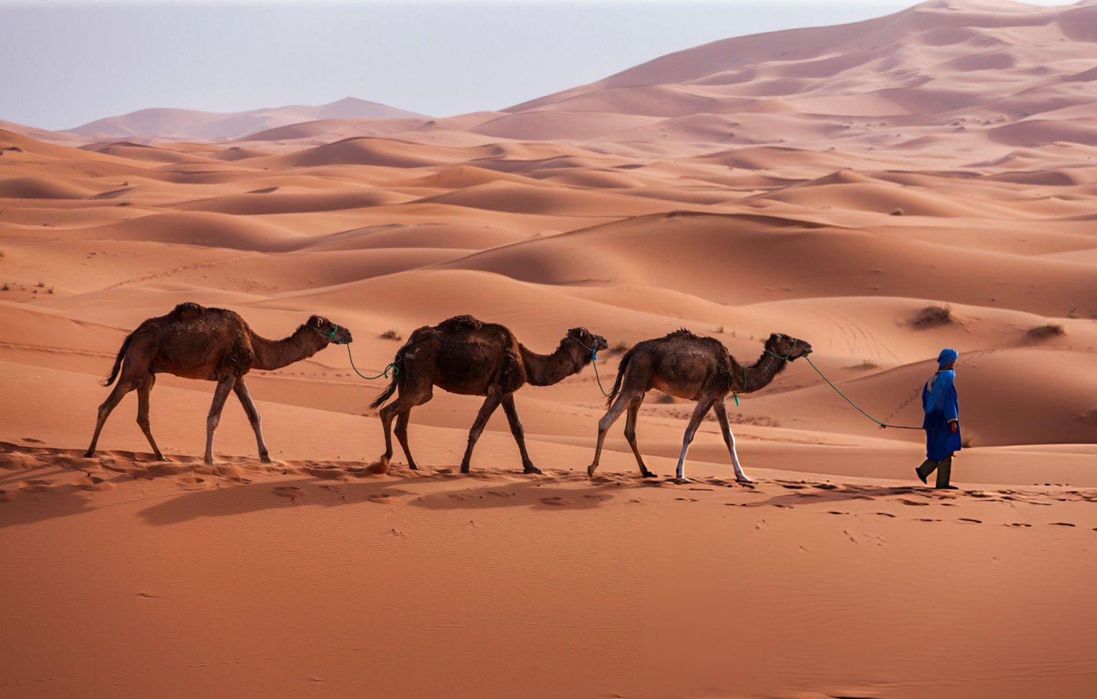 Camel Trek in Merzouga Desert Sunset